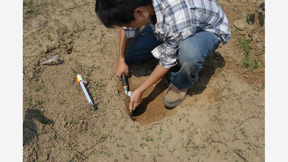 植林前進行的土壤調查工作，可以用來決定適地適種的樹苗。